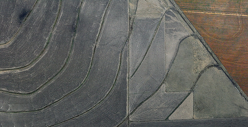 _D2X5899-pan1