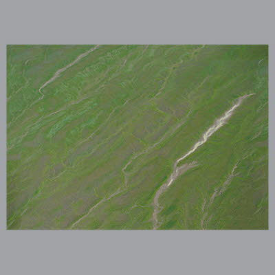 C_D3A1110