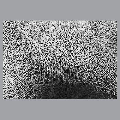 D2X5988