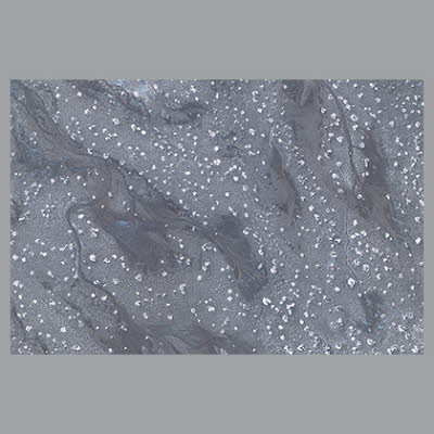 D3A0298